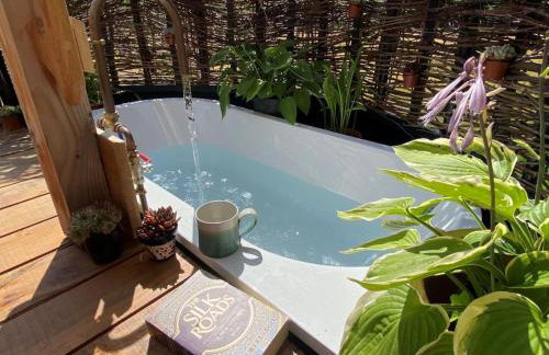 1 Bed in Llanfihangel-y-Creuddyn oc-c34624 - Foto 2