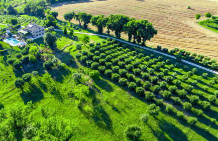 Luxury villa in Le Marche Casa Sant'Elia - Foto 2