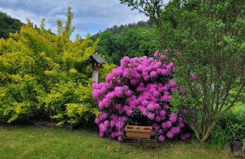 Dom w Górach Sowich Niedźwiedzia Gawra, Michałkowa - Foto 42