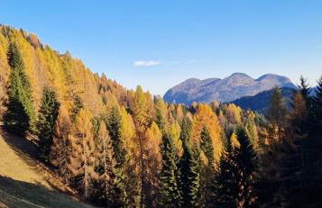 Casa Lateis 24 - Photo 26