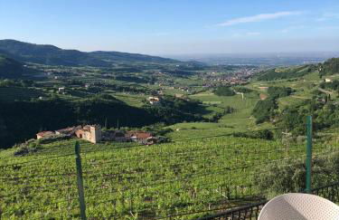 Villa Allegri Agriturismo di Charme - Foto 30