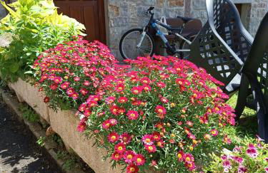 Mar Tu Apartamento en Llanes - Foto 36