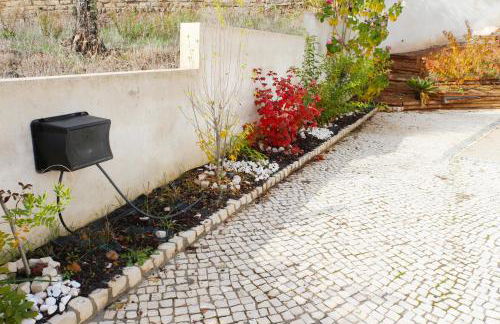 Casa da Aldeia Velha - Country House - Foto 18