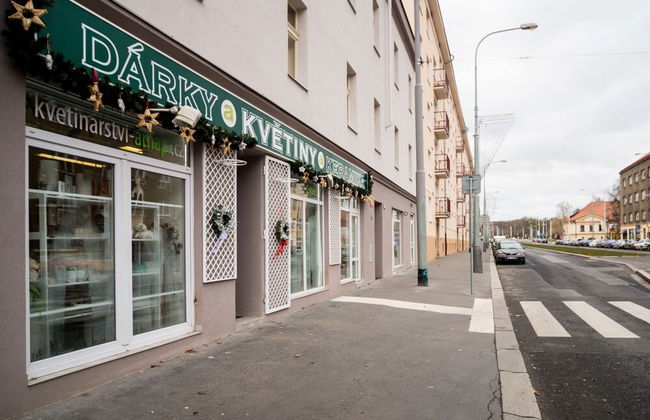 2 Bedroom Home near Prague Castle - Foto 30