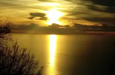 Agriturismo del Sole - Foto 82