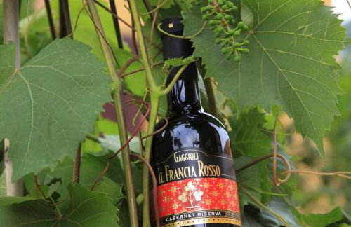 Agriturismo Gaggioli Borgo Delle Vigne - Foto 87