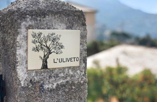 Uliveto - Foto 43