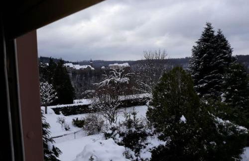 Gîte La Rose Jacuzzi Nordique - Foto 28