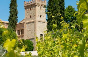 Fonte Sala - Foto 75