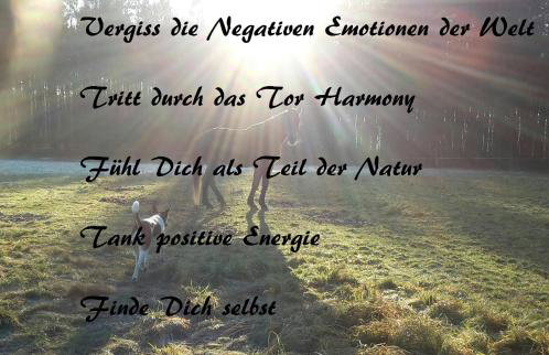 Agroturystyka Polana Harmonii - Foto 19