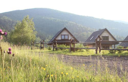 Dom Malowany domki - Foto 33