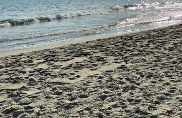 Superbe studio, terrasse, piscine, parking - Photo 19