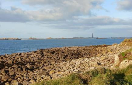 résidence des dunes - Foto 68