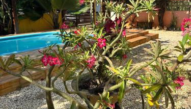 Pousada dos Sonhos - Photo 5, Garden