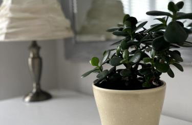 Stylish Cosy Home - M42, Airport, NEC & Train St - Photo 24