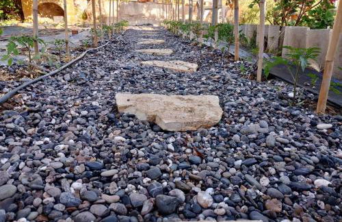 White lilies the house of gourmet flavours - Foto 13