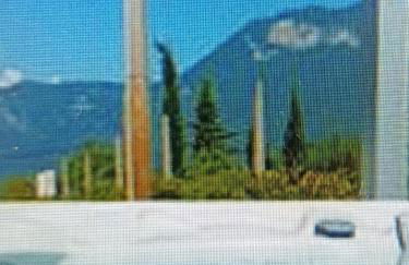 Agriturismo Villa Stella - Photo 35