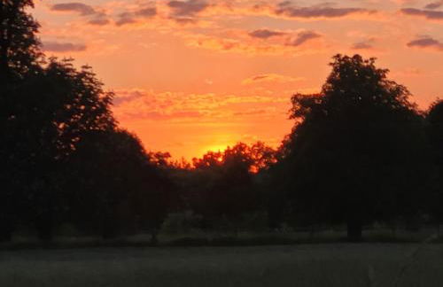 Gute Stube - Foto 12