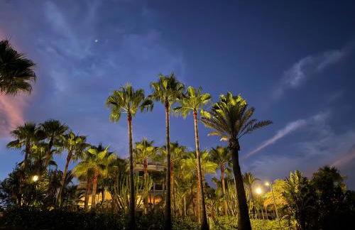 PJ Luxury Apart Sotoserena - Photo 40