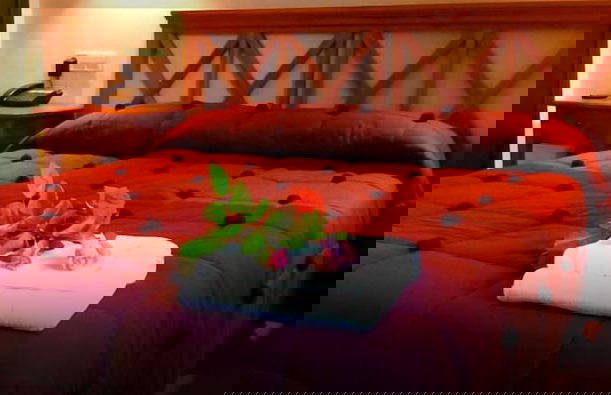 Casas Rurales Aldeaduero - Photo 3