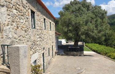 Quinta da Vinha Velha - Foto 59