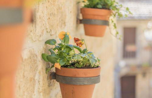 Vestra Domus - Foto 28