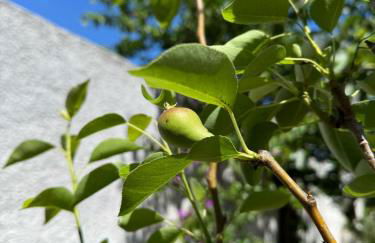 Villa Carmela a San Pietro in Bevagna (TA) - Foto 53