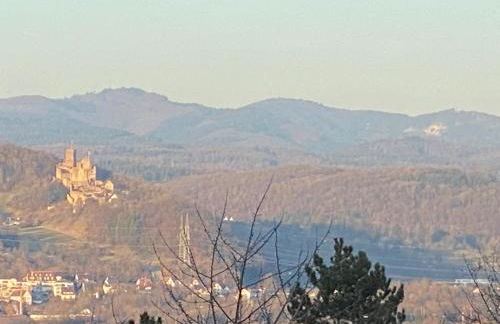 Schöne Wohnung mit Ausblick und Gartensitzplatz - Foto 15