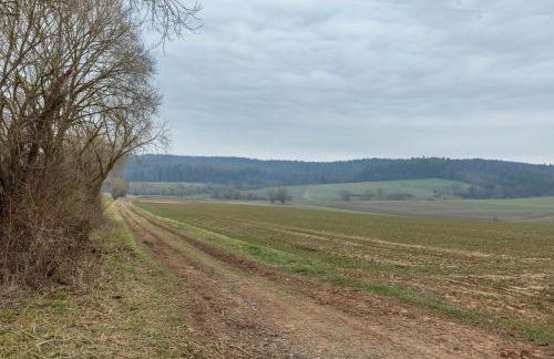 Mittendrin - Foto 26