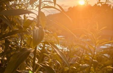 Cascina Burroni - Foto 47