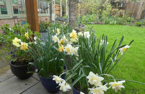 Quadrantopia - Foto 22