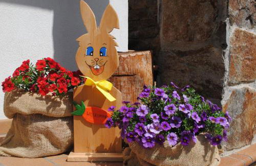 Appartamenti Casavacanzepejo - Foto 8