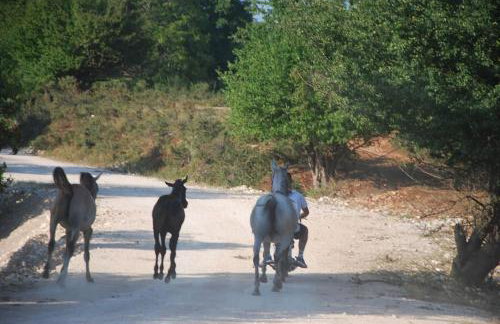 Ενοικιαζόμενη Παραδοσιακή κατοικία Σαν Παραμύθι - Foto 46