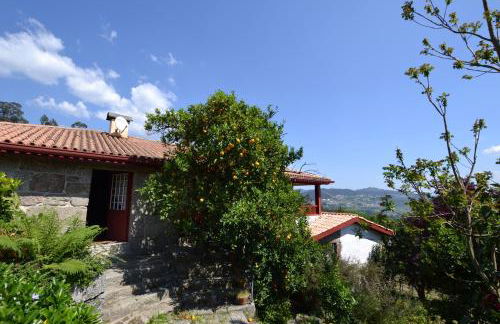 Quinta De Cima De Eiriz - Foto 39