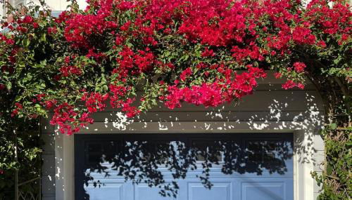 Totally Renovated Victorian House in Center SF! - Foto 3