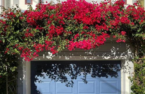 Totally Renovated Victorian House in Center SF! - Foto 3