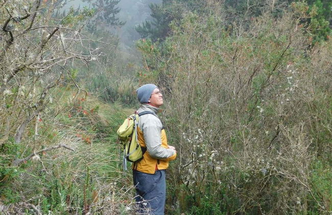 Senderismo por el bosque de Quero - Foto 7