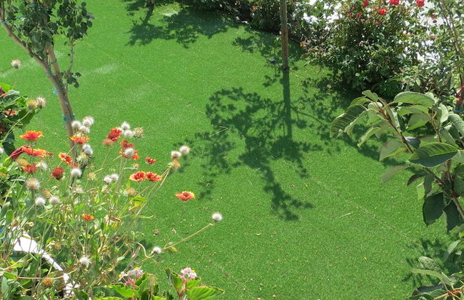 Room-andoni's House in Pitrofos Andros i - Foto 26