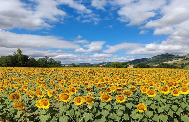 Beautiful Holiday Home With Covered Terrace - Foto 26