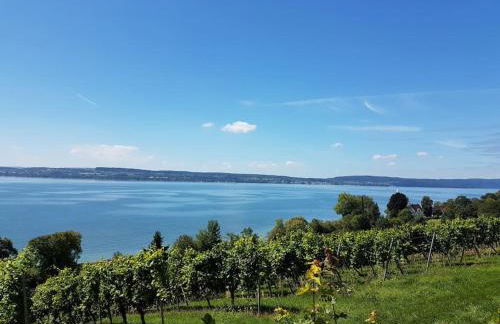 FeWo Lichtblick - Foto 58