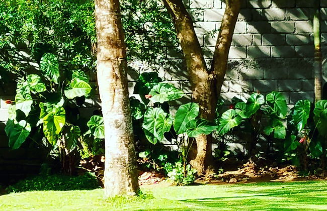 Kundayo Serviced Apartments Lodge - Photo 28