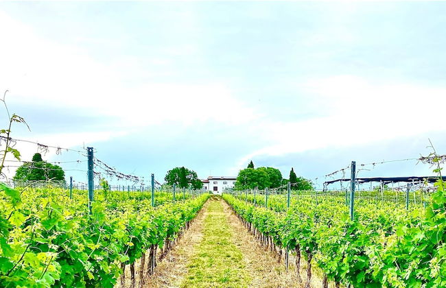 Tenuta EnGi - Foto 37