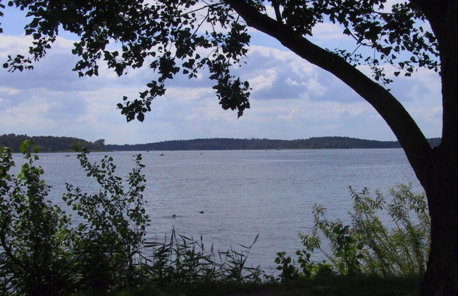 Schroder at the Aerie - Foto 13