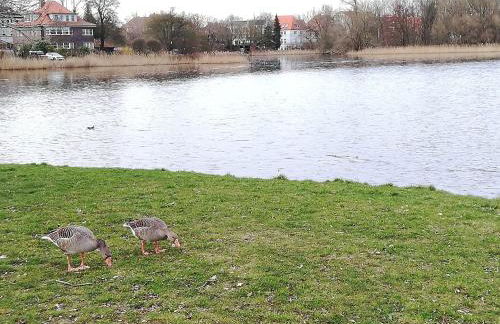 Ferienwohnung Blaue Sonne Devin - Foto 24