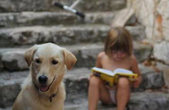 Small house at seafront - Photo 37