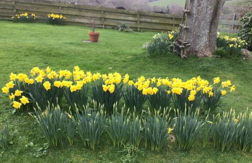 Cozy Camborne Studio Retreat With two Single Beds - Photo 62