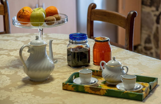 Quinta Eido Oliveira - Photo 77