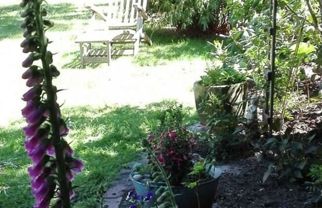 Long Comfortable Holiday Residence - Foto 20