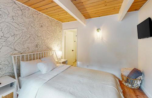 Saint Bernard Beauty - Foto 13