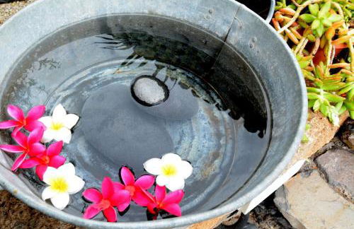 Romantic Hamlet Cottage with Private Pool La Fragua de Eliseo - Foto 30